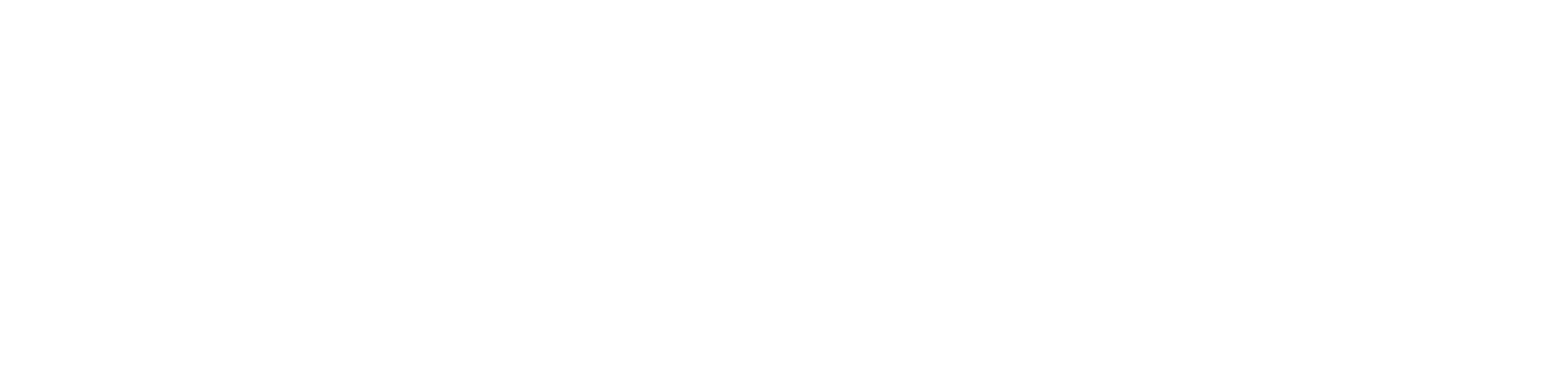 logo consult branco horizontal