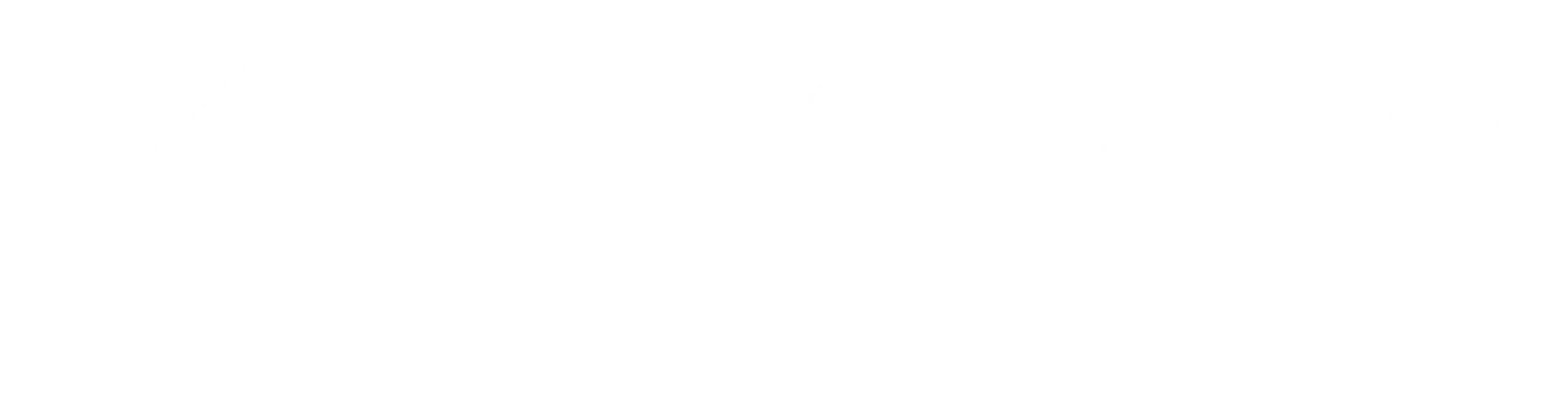 Logo branco1 scaled